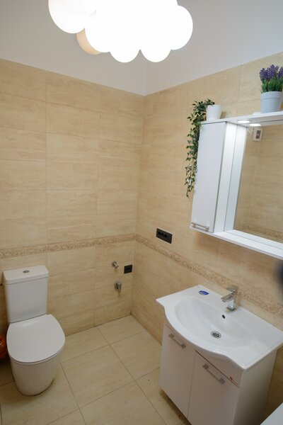 Alba Iulia, Unirii, inchiriere apartament 2 camere cu terasa.