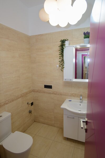 Alba Iulia, Unirii, inchiriere apartament 2 camere cu terasa.